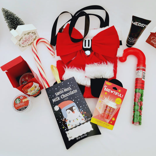 Christmas Gift Set-Santa Goodie Bag