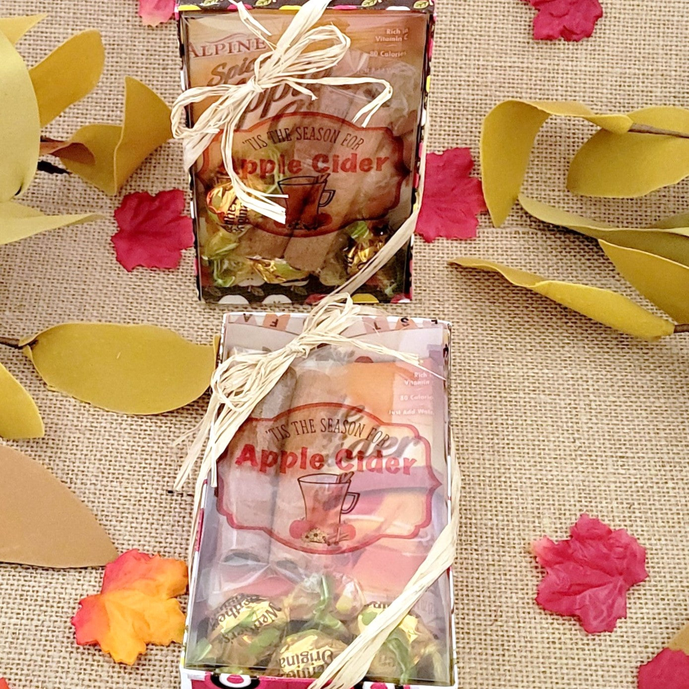 Spiced Apple Cider Packs